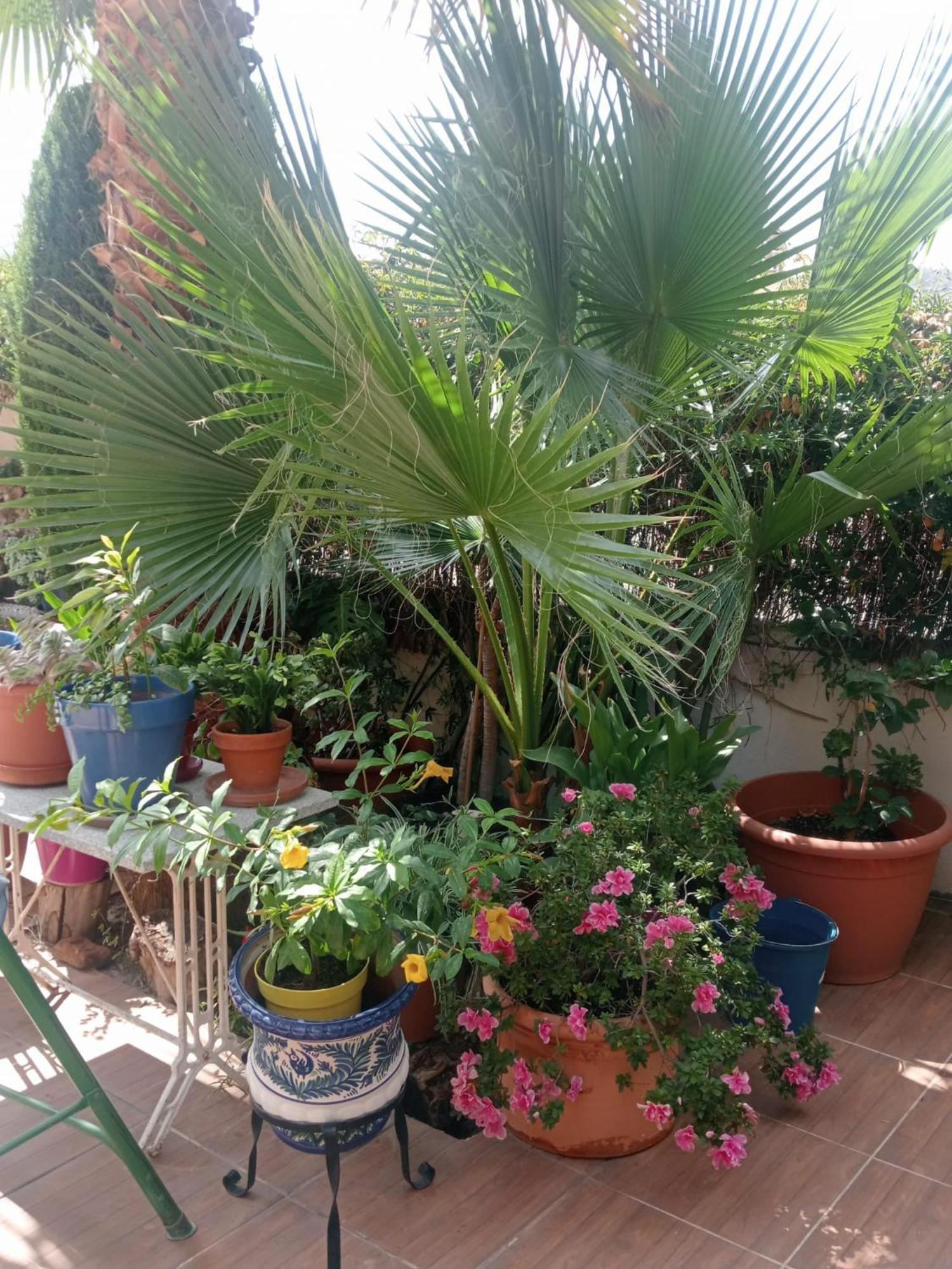 La Cabana Nevada Cenes De La Vega Eksteriør billede